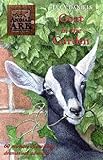 Goat in the garden
