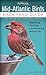 Mid-Atlantic Birds: Backyard Guide - Watching - Feeding - Landscaping - Nurturing - Virginia, West Virginia, Maryland, Delaware, New Jersey, Pennsylvania (Bird Watcher's Digest Backyard Guide)