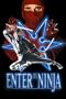 Enter The Ninja