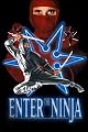 Enter The Ninja