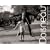 Doisneau en 365 photographies