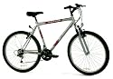 Universal Maxima 26" 18 Speed Gents Mountain Bike