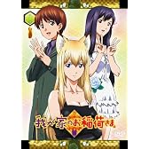 我が家のお稲荷さま。 限定版 【天狐盛りパック】 第十壱巻 [DVD]