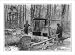 Historic Print (L): [Sugaring off in a grove of sugar maples]