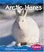 Arctic Hares (Pebble Books) by Frost, Helen