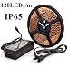 ATC IP65 Waterproof Cold White 5M 600leds 3528 LED Strips Lights 500CM SMD Flexible car+ US adapter,120LEDs/m