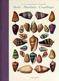 Shells - Muscheln - Coquillages: Conchology or the Natural History of Sea, Freshwater, Terrestrial and Fossil Shells 1780