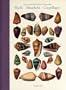 Dezallier D'Argenville: Conchology/Shells