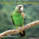 Parrots and Parakeets 2011 Calendar MGANM13