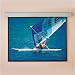 Draper Silhouette/Series E NTSC Video Format - Projection screen (motorized) - 100 in - 4:3 - Matte White