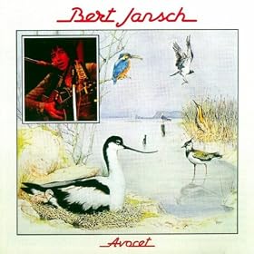 Avocet