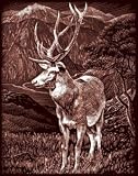 Copperfoil Kit 8 Inch X10 Inch -Elk