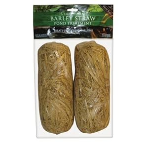 Summit 130 Clear-water Barley Straw Bales, 2-Pack