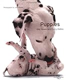 Puppies : wet noses and fuzzy bellies