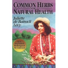 Common Herbs for Natural Health