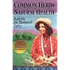 Common Herbs for Natural Health