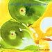 Larry-Ochs'-Sax-&-Dr-Out Trios cd cover