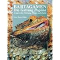 Bartagamen: Die Gattung Pogona - Artgerechte Haltung, Pflege und Zucht