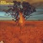 Afrika Underground