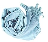 IMAGE OF Soft and Silky Peach Couture Robin's Egg Rayon Pashmina Shawl/Wrap