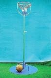Economical Basketball Goal