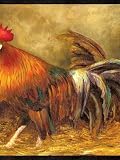 Wallpaper Warner Sunday Morning Farmyard Rooster SM05062B