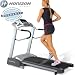 Horizon Fitness Horizon Paragon GT 308 Foldable Motorised Treadmill-1.75chp Motor,10% Power Incline With Lifetime Frame & Motor/ 5 Years Parts & Labour Warranty