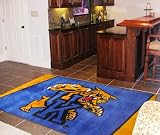 University of Kentucky Wildcats 4' x 6' Area Rug