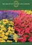 Beauty of Flowers