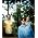 Thumbnail image of Marcy Playground