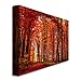 The Red Way by Philippe Sainte-Laudy, 30x47-Inch Canvas Wall Art