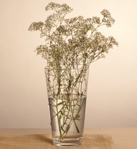Glass Vase