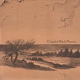 Sharks & Storms [VINYL]