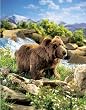 BROWN BEAR PUPPET BY FOLKMANIS 17"