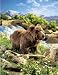 BROWN BEAR PUPPET BY FOLKMANIS 17"