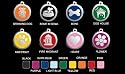 Custom Engraved Stainless Steel with Enamel Pet I.D. Tag - Small Dog