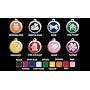 Custom Engraved Stainless Steel with Enamel Pet I.D. Tag - Medium Dog
