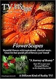 TV Artscapes -  FlowerScapes Vol II