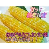 スイーツとうもろこし「甘々娘」 3キロ予約受付中【父の日ギフト】指定も可
