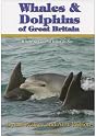 Whales and Dolphins of Great Britain: Where to Go and What to See