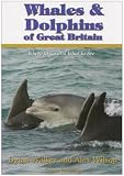 Whales and Dolphins of Great Britain: Where to Go and What to See