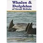 Whales and Dolphins of Great Britain: Where to Go and What to See