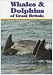 Whales and Dolphins of Great Britain