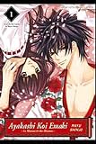 Ayakashi Koi Emaki, Tome 1 :