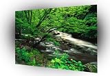 Mountain Tremont Great Park A1 XLarge Canvas