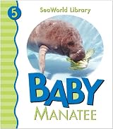 Baby Manatee