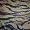 Tiger Stripe Camouflage