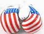 1 Pair USA Flag 20oz Boxing Punching Gloves