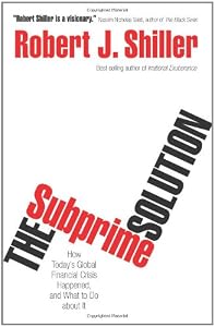 Image of The Subprime Solution: How Today's Global Financial Crisis Happened, and What to Do about It