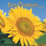 Sunflowers 2009 Square Wall Calendar